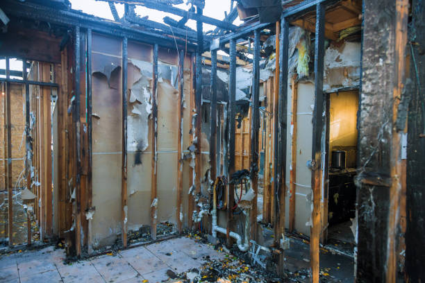 Professional Fire Damage Removal technician working in Micco, FL
